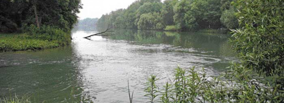 Sind unsere Flüsse noch zu retten?